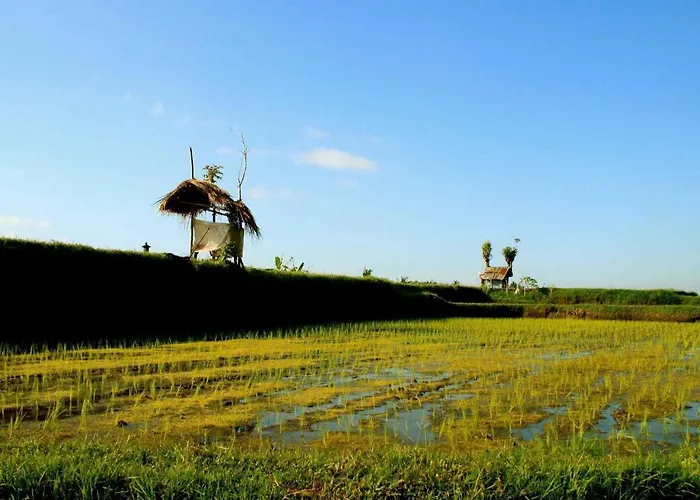 Omah Apik 4* Ubud (Bali)