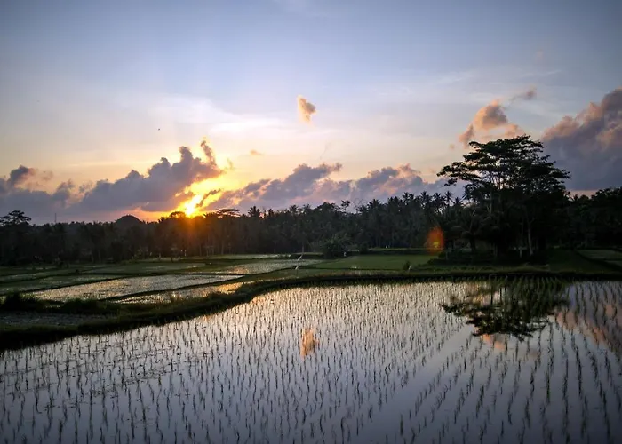 Omah Apik Hotel Ubud (Bali)