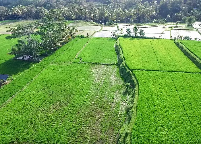Omah Apik 4*